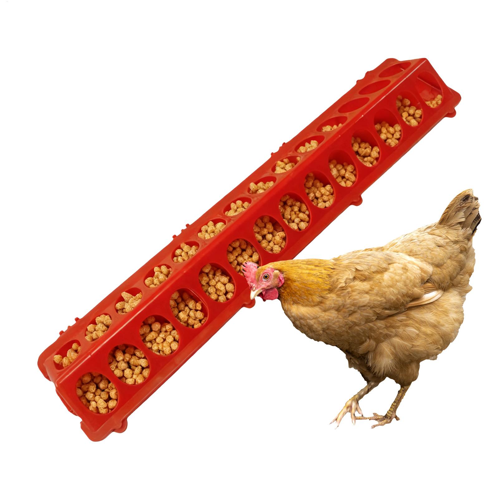 Baby Food With Chicken - Podajnik dla gołębi 28-otworowy, długi, o